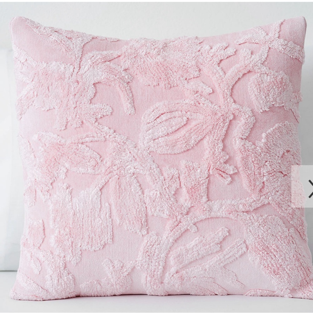 Pottery Barn Kids Stonewash Chenille Euro Shams